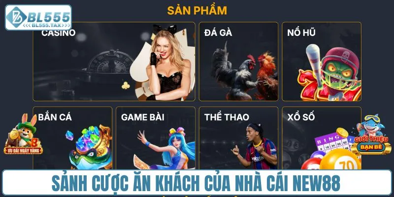 Nhà Cái New88 - Cổng Cược Đa Dạng Dành Cho Mọi Game Thủ