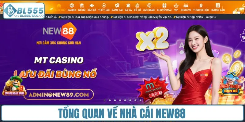 Nhà Cái New88 - Cổng Cược Đa Dạng Dành Cho Mọi Game Thủ