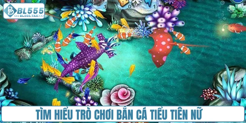Bắn Cá Tiểu Tiên Nữ - Chinh Phục Đại Dương Săn Thưởng Khủng
